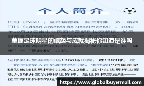 草原足球明星的崛起与成就揭秘你知道是谁吗